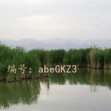 ̫